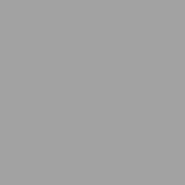Light Grey -- Master Epoxy Finish - Image 2